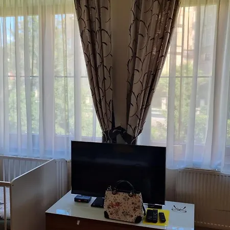 Karlovy Vary, Dum U Mari Magdaleny - 100 M Od Vridla Apartman