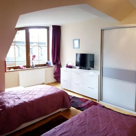 Karlovy Vary, Dum U Mari Magdaleny - 100 M Od Vridla Apartment Karlovy Vary