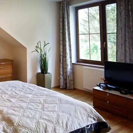 Karlovy Vary, Dum U Mari Magdaleny - 100 M Od Vridla Apartment